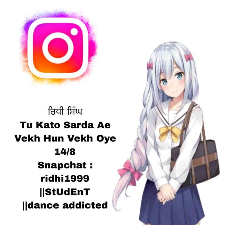 Instagram Bio In Punjabi For Girl