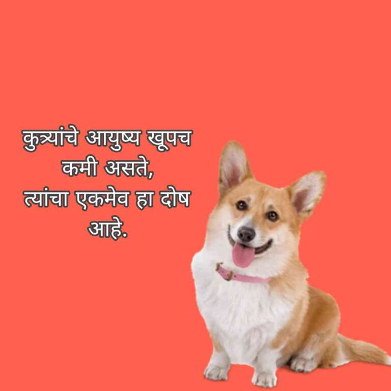 Dog Death Quotes In Marathi