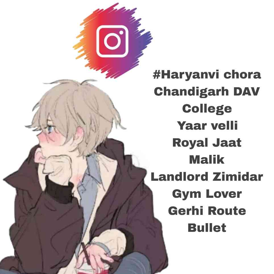 Instagram Bio Haryanvi